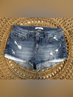 Willow & Root Blue Distressed Jean Shorts